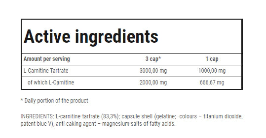 L-Carnitine 3000